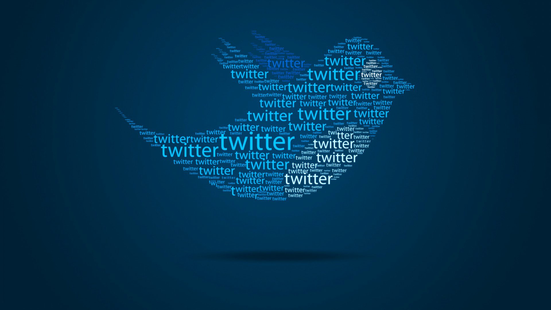 twitter twitter mensaje sitio web blog pájaro alas pájaro vuelo abstracción