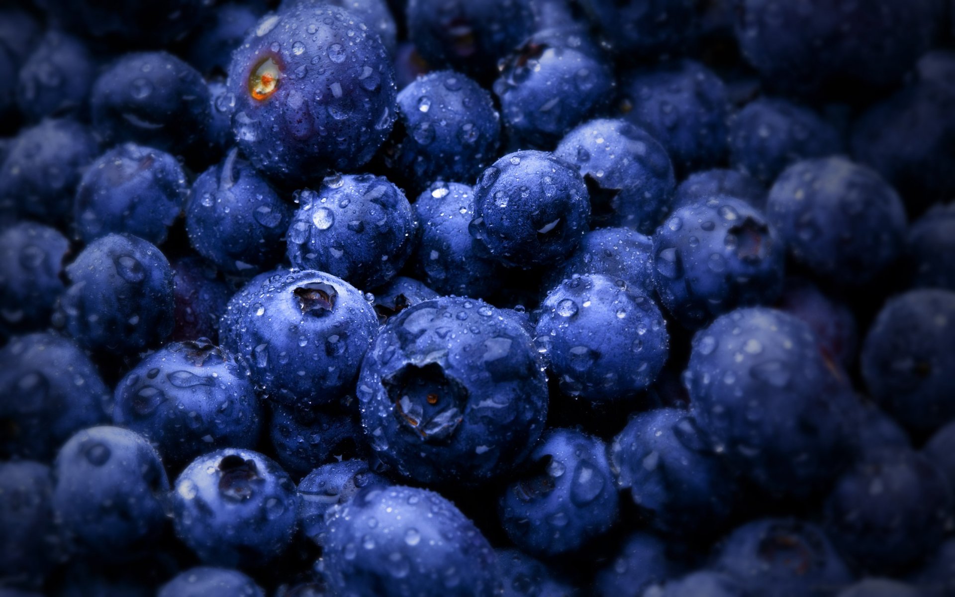 round shape berries blueberries fruit