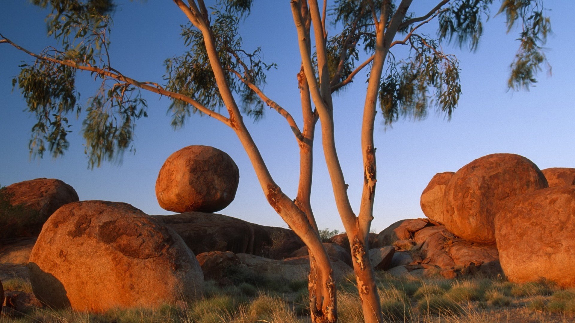 ciottoli di sabbia arrotondati grandi pietre albero tramonto natura erba