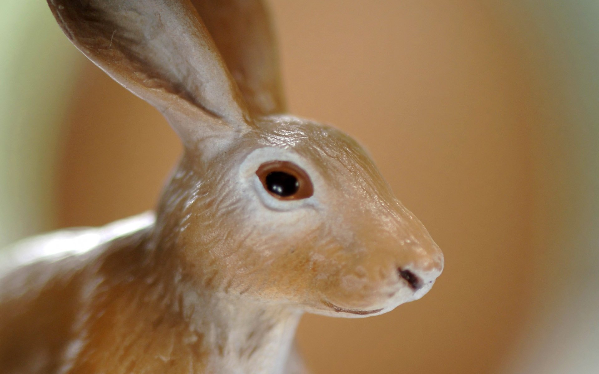 porzellanhase braune farbe kleine augen