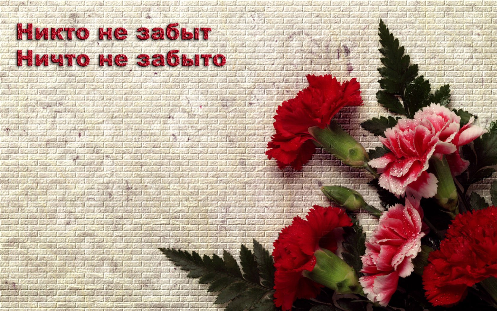 flowers clove bouquet slogan victory day may 9 holiday victory ussr wwii