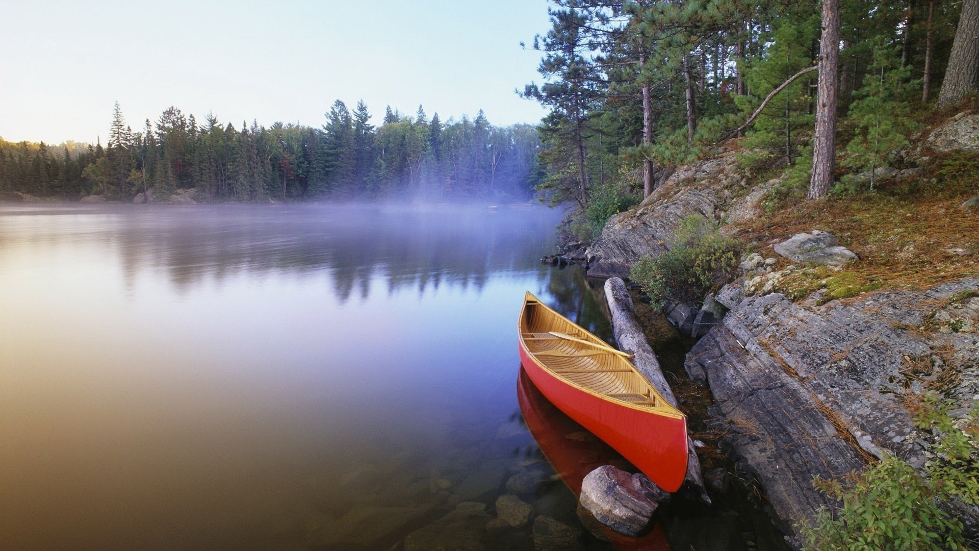 boat near the shore morning mist calm forest river cool shore ate trees fog