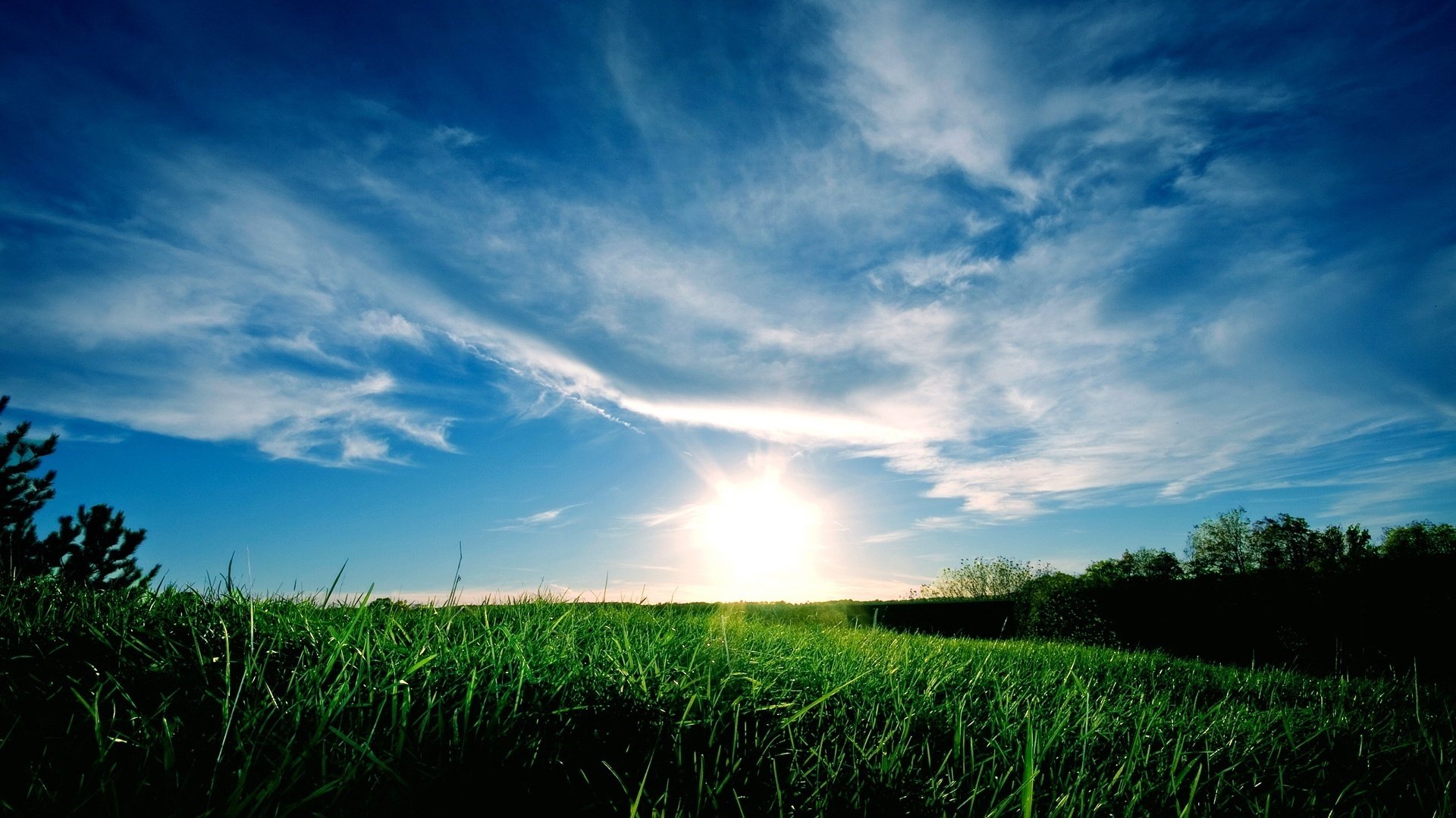 fioritura raggi luminosi erba verde alba cielo campo