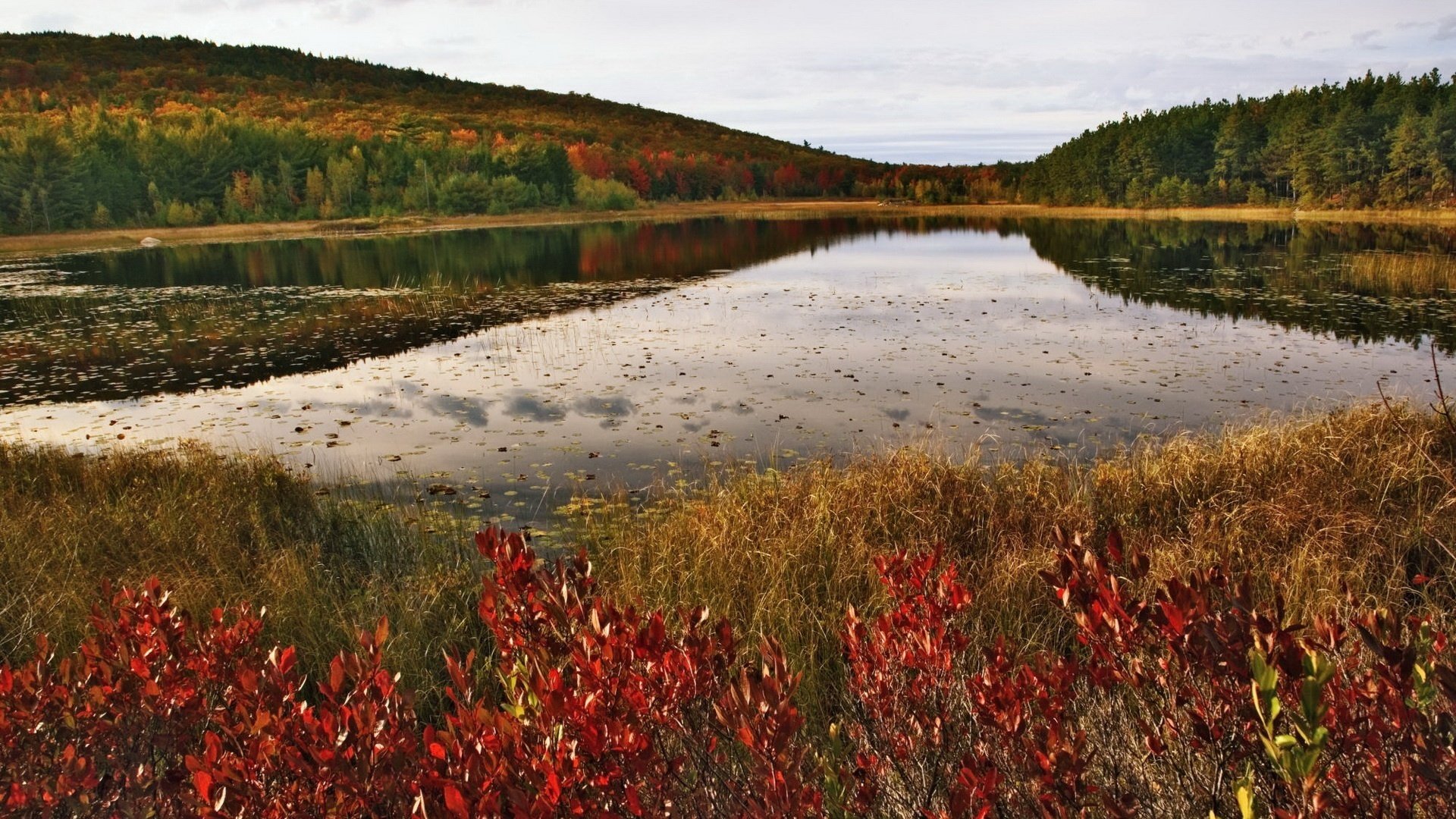 riva del lago fogliame sull acqua foglie rosse autunno montagne lago foresta bellezza colori di autunno riflessione cielo