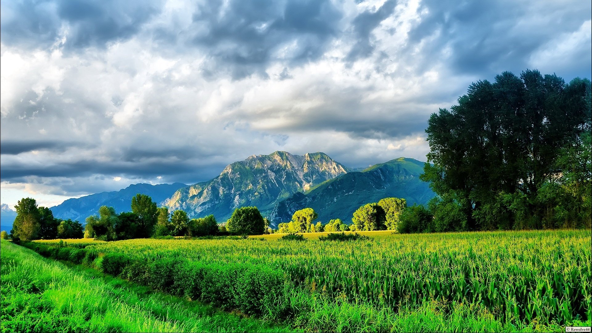 colores brillantes naturaleza artista montañas vegetación hierba arbustos árboles cielo nubes nubes pureza campo