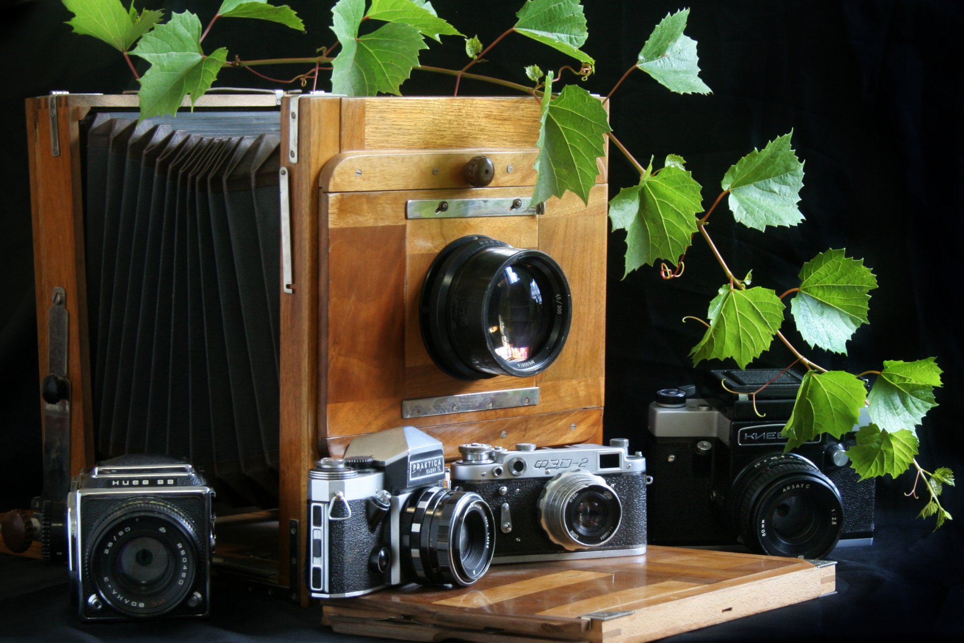 крупноформатный ленточные фотоаппараты киев 88 фэд-2 praktica корпуса объективы диафрагмы затворы веточка винограда фон