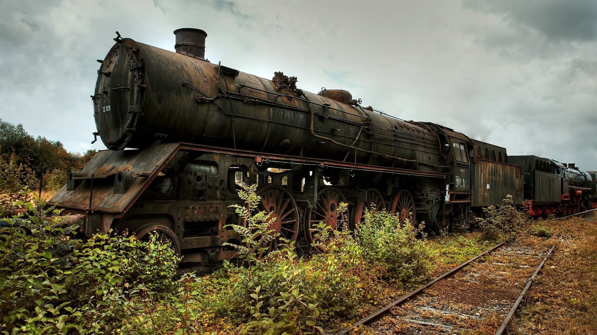 vieux train coque sombre rails envahis par la végétation transport wagon buissons nuages ciel gris fourrés rareté