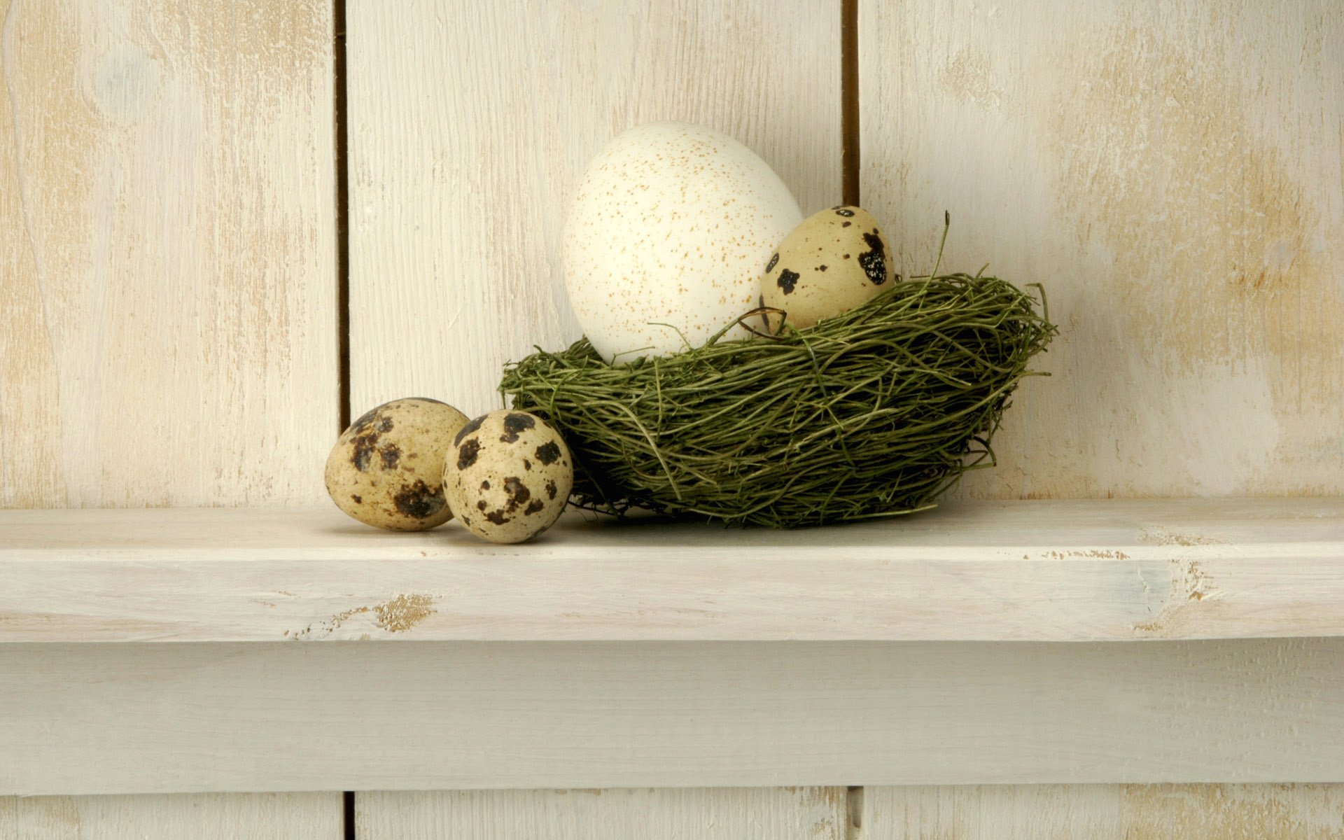 wachtelhoden nest korbweide regal baum hintergrund korb