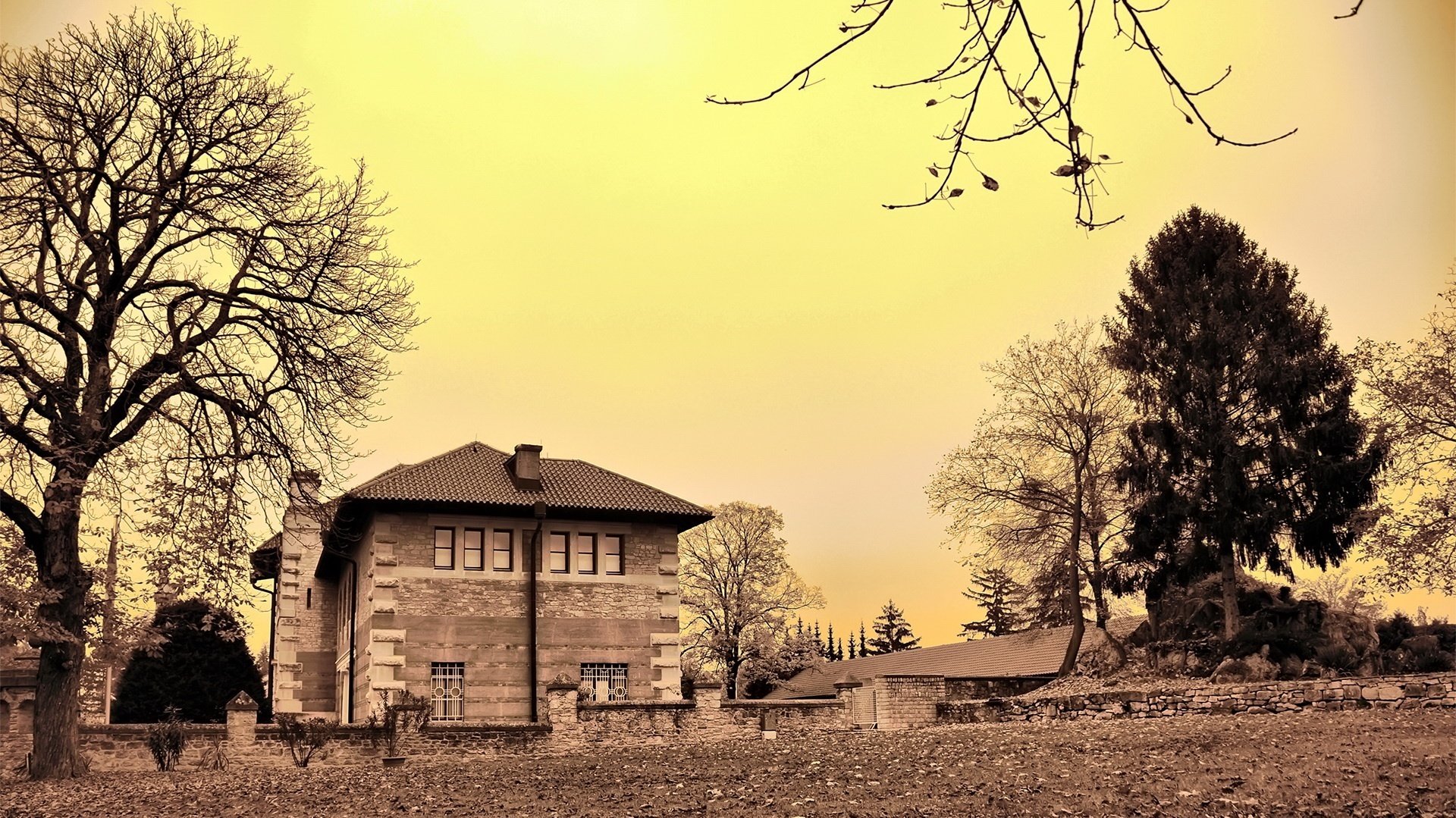 gelber himmel morgen kühle hütte häuser bäume zweige natur