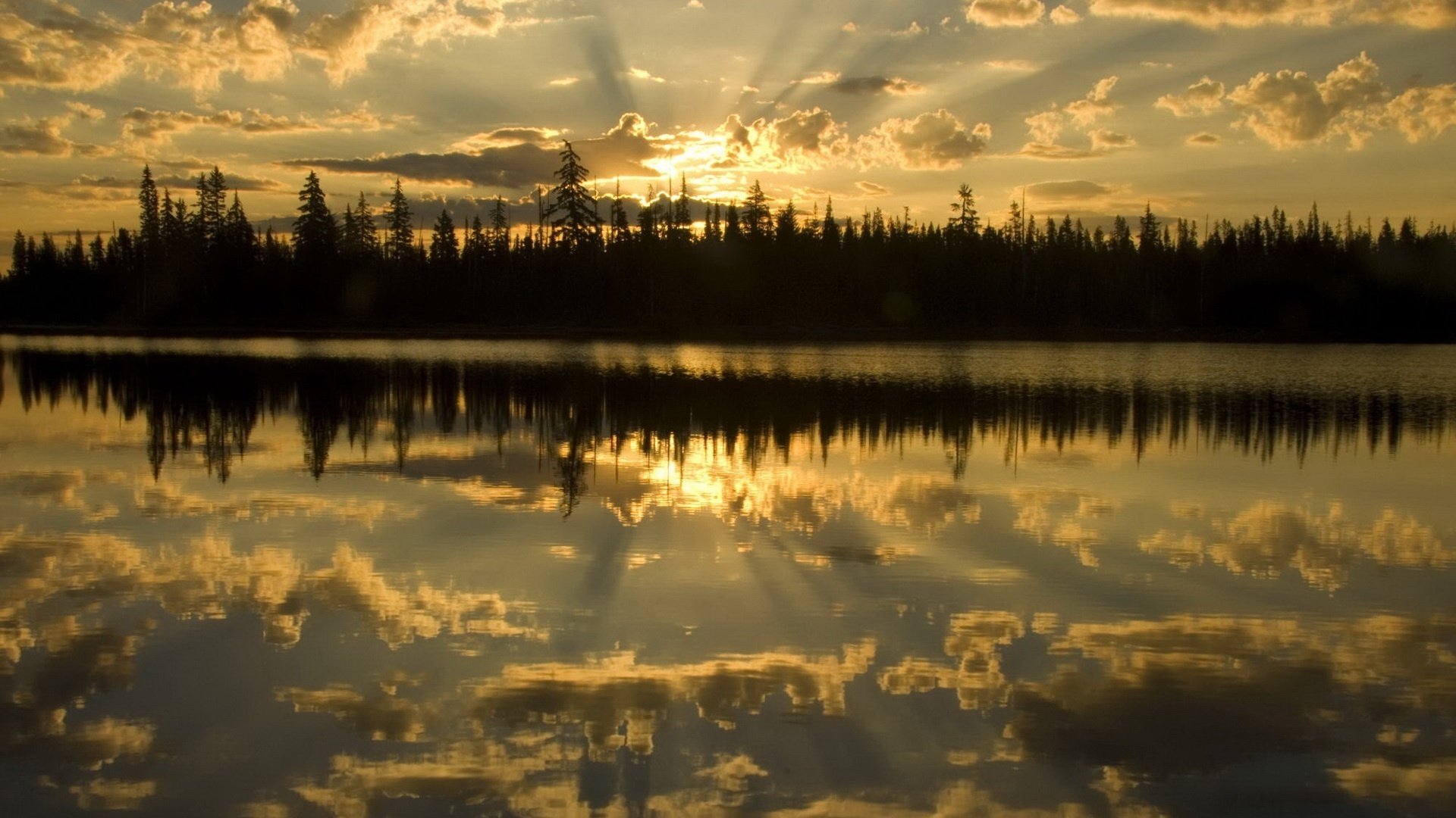 hore with trees lights rays lake sunset water