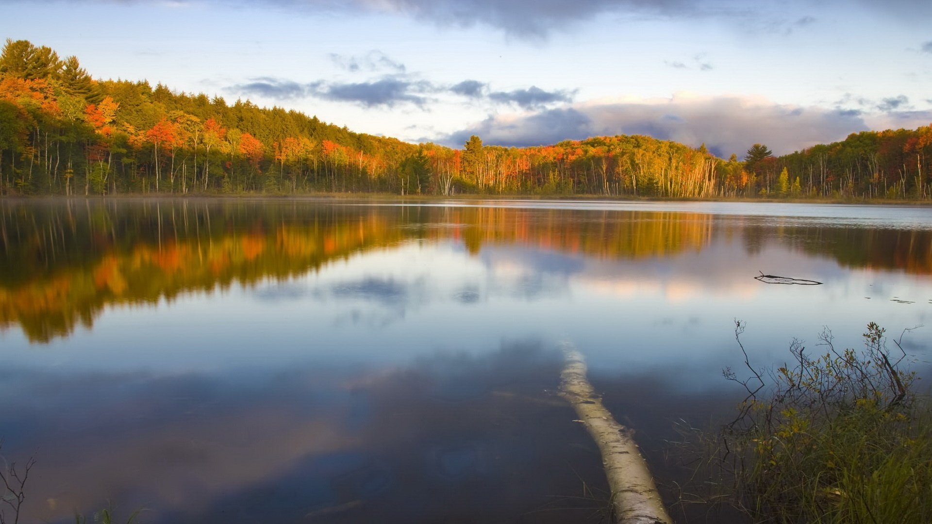 the reflection of the forest glass water autumn water lake landscape bright colors surface nature view