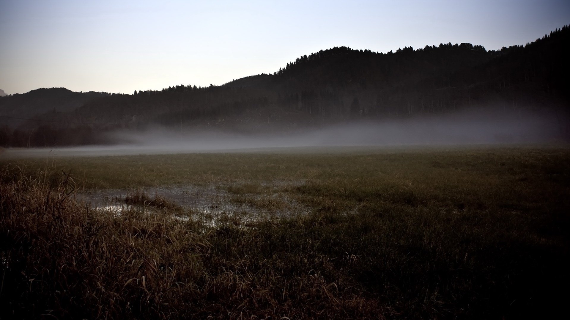 nebbia ai piedi delle montagne erba montagne autunno erba secca campo cielo