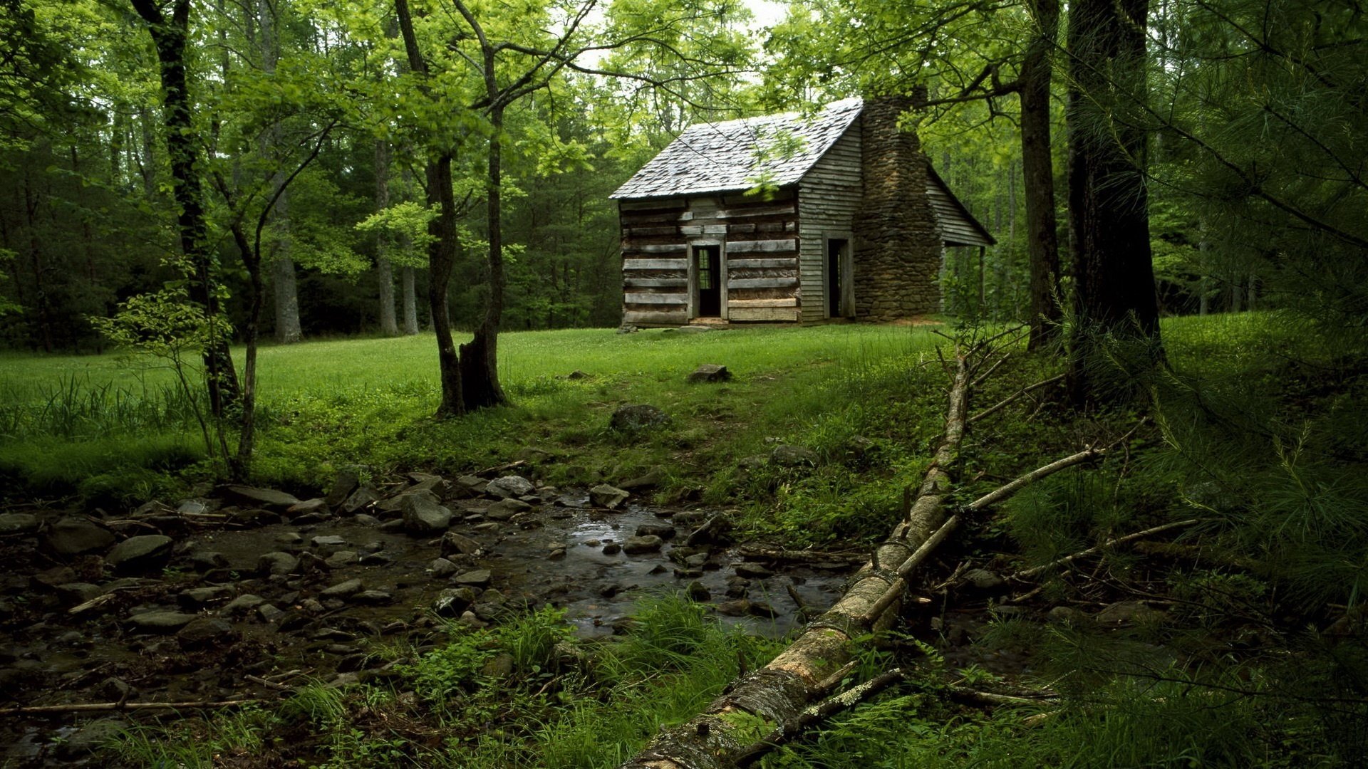 ruisseau en bas maison en bois forêt arbres terre herbe feuilles été