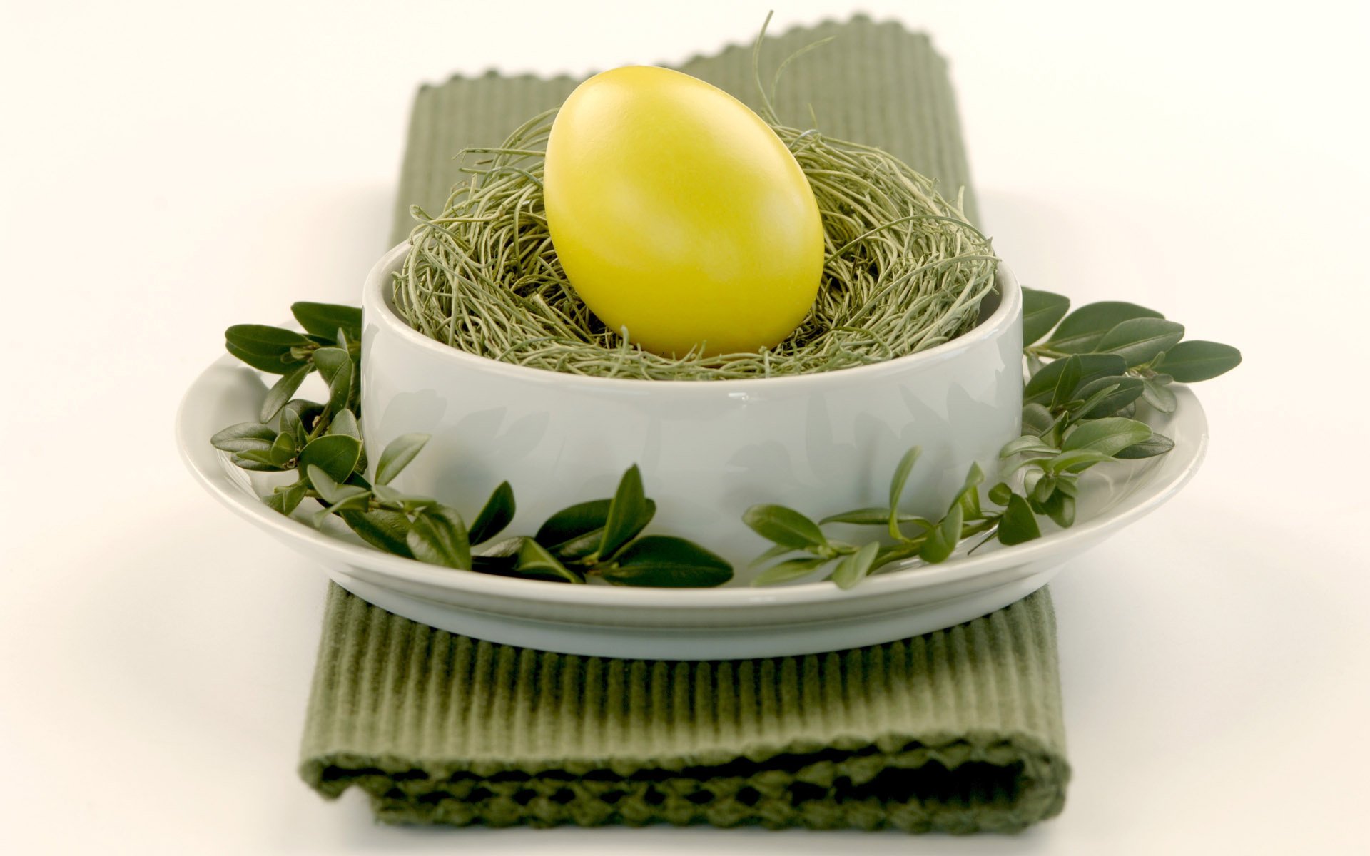 green still life plate egg easter