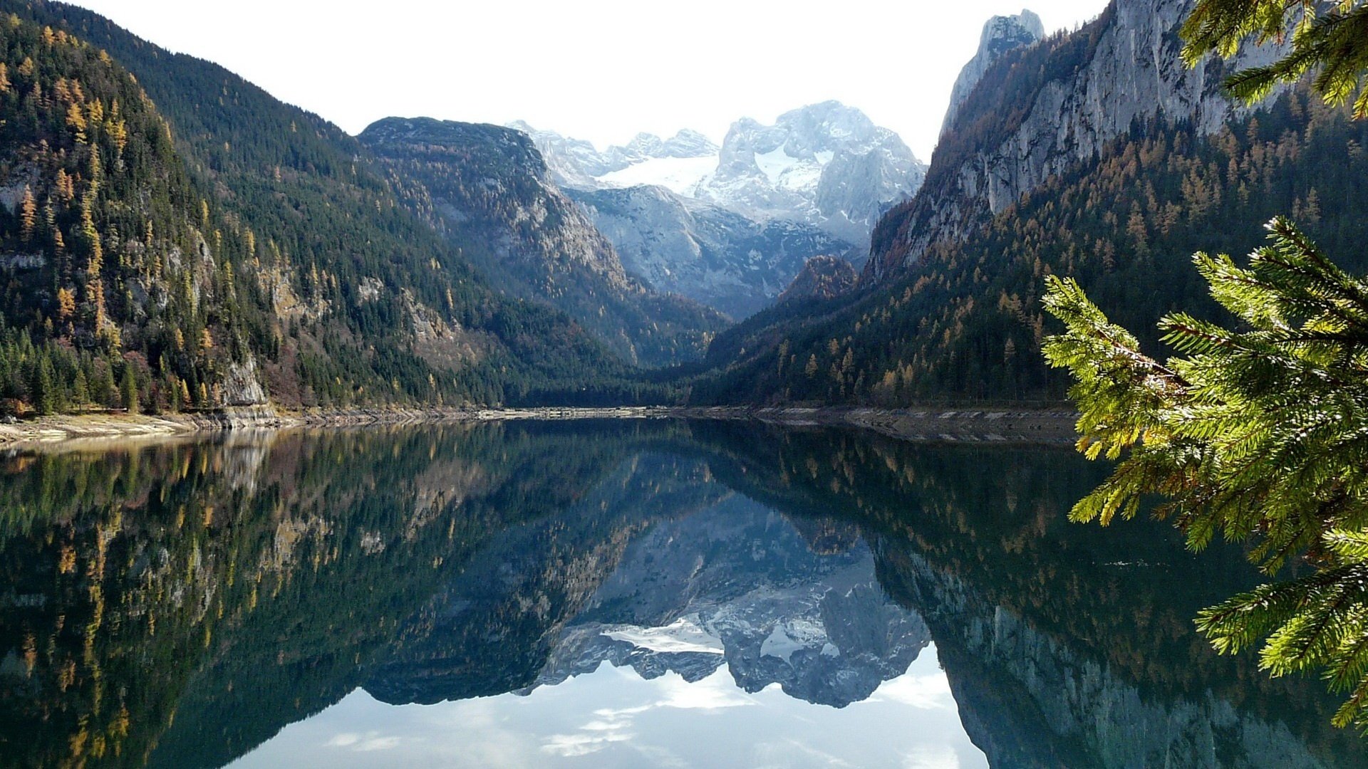 see am fuße der berge glas berge landschaft reflexion ansicht zweig wald bäume glatte oberfläche himmel