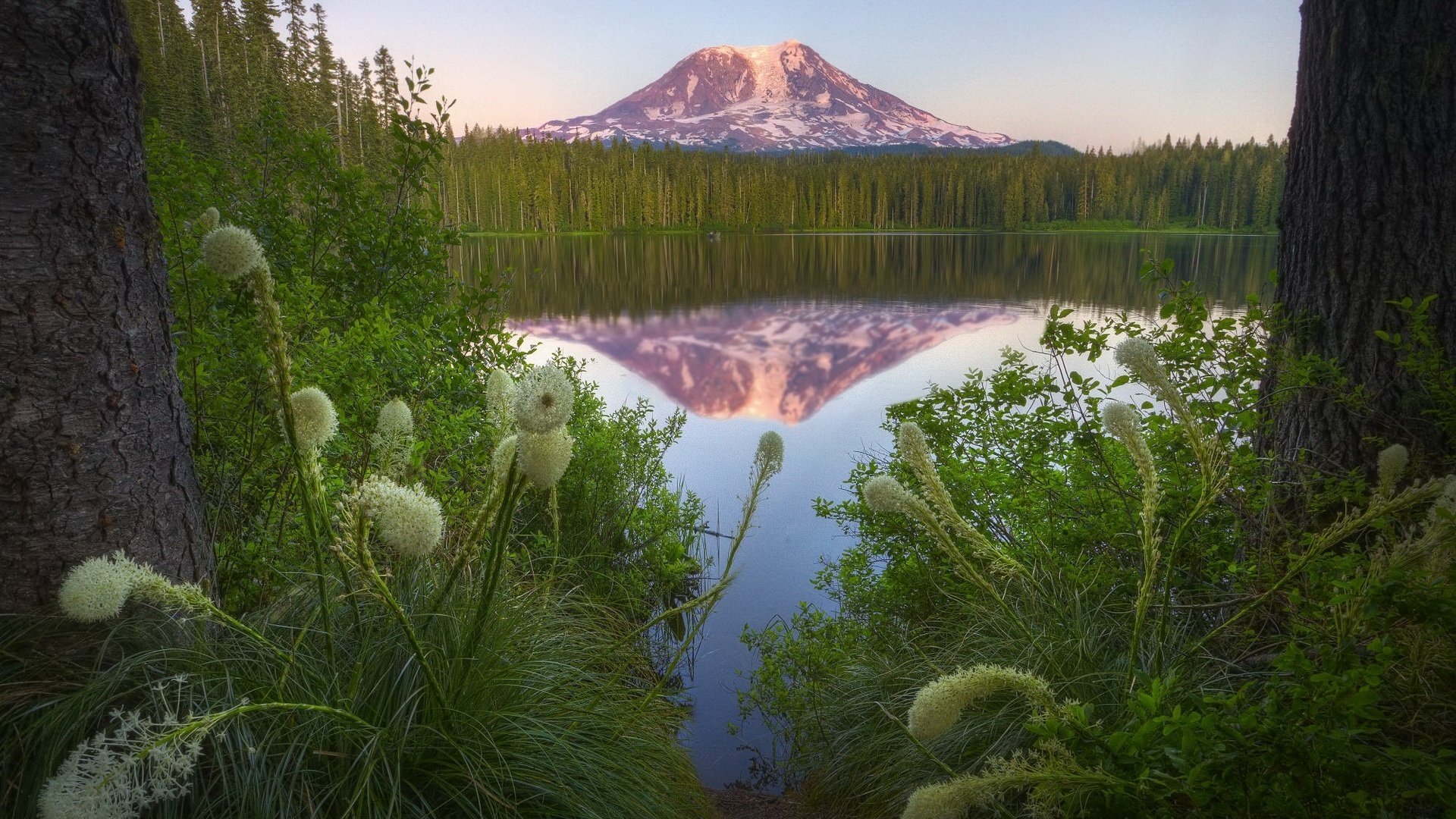 beauté des montagnes herbes sauvages eau de verre montagnes lac réflexion forêt verdure végétation nature paysage