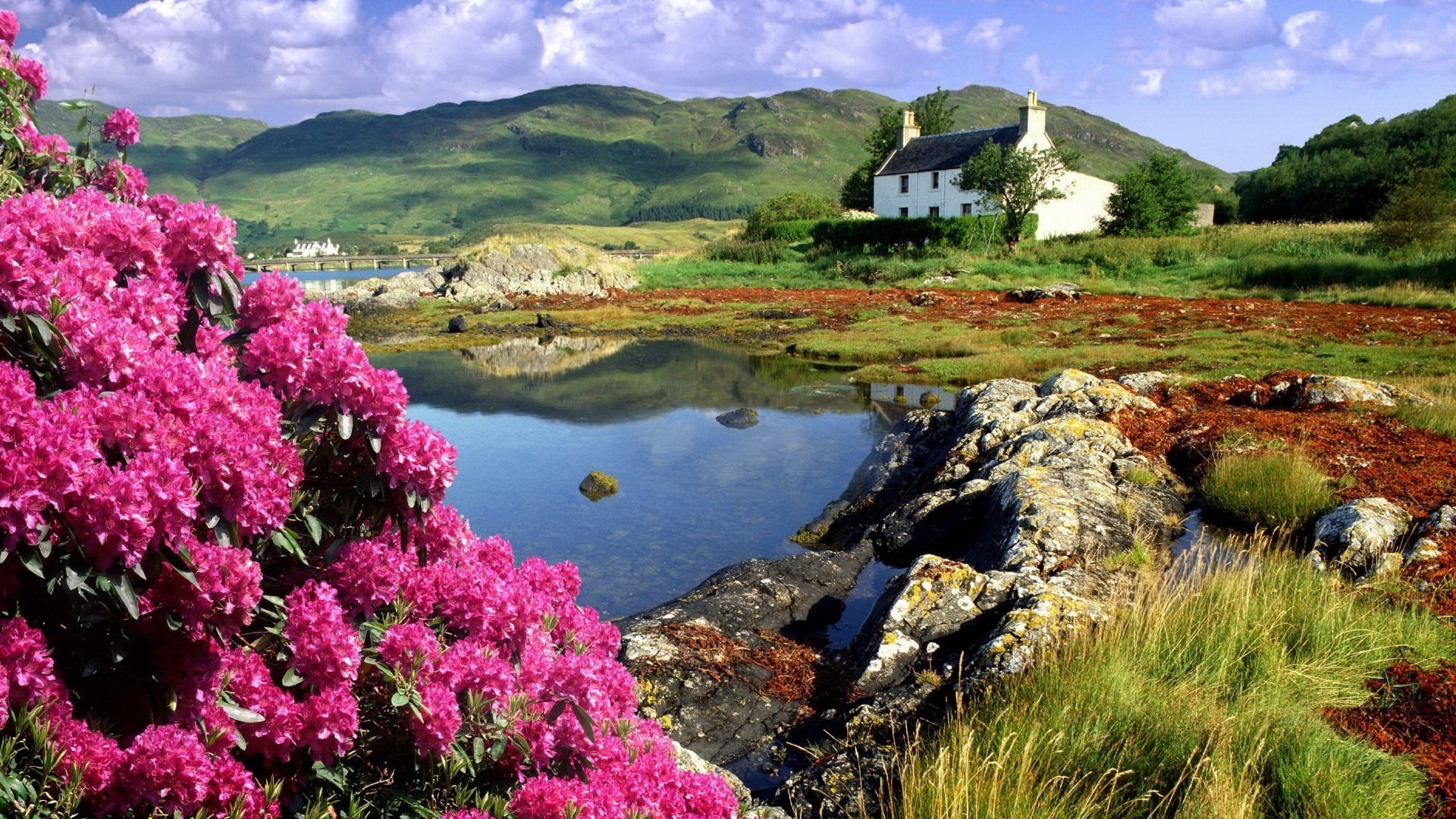 flores brillantes primavera casa del lago montañas casas lago flores rosadas colores brillantes paisaje naturaleza fondo nubes vegetación