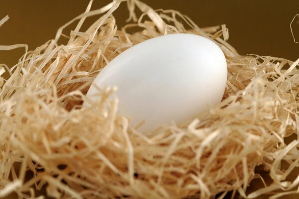 Huevo de Pascua en un nido de virutas