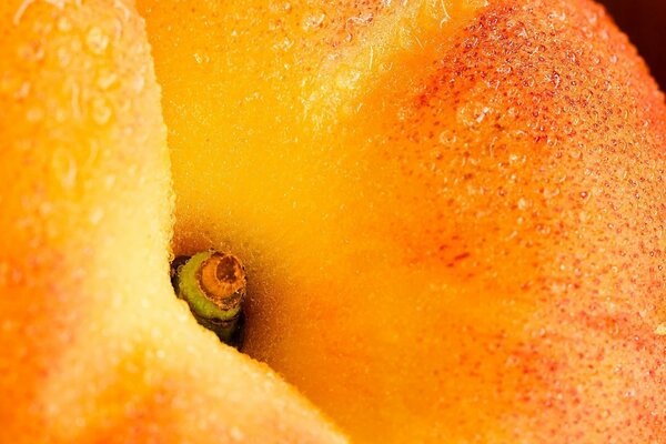 Juicy peach with water drops