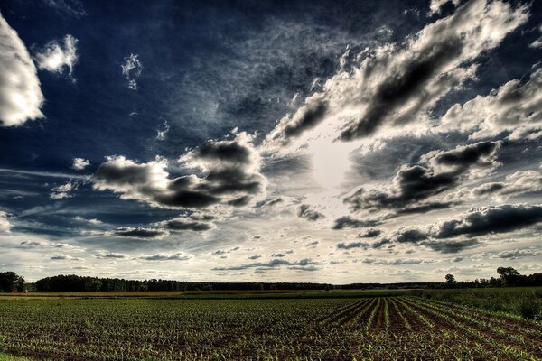 Niezwykłe chmury nad zaoranym polem