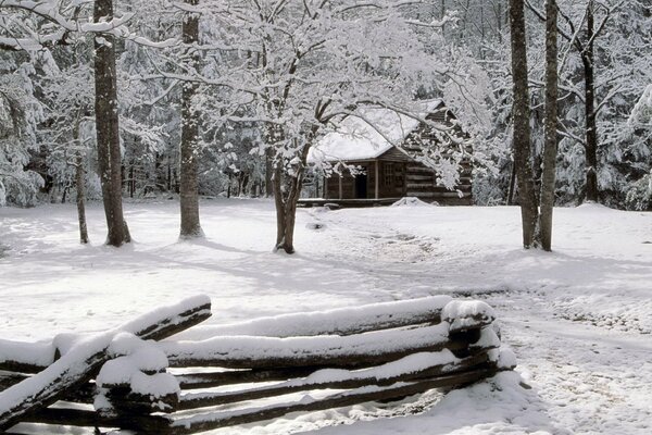 Maison de forestier en hiver dans la forêt