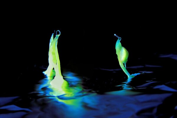 Plantes lumineuses fabuleuses dans l eau