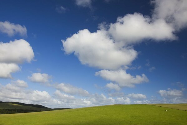 Bellissimo campo con le nuvole