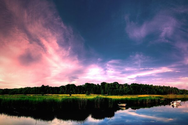 Cielo crepuscolare rosa sopra l isolotto verde