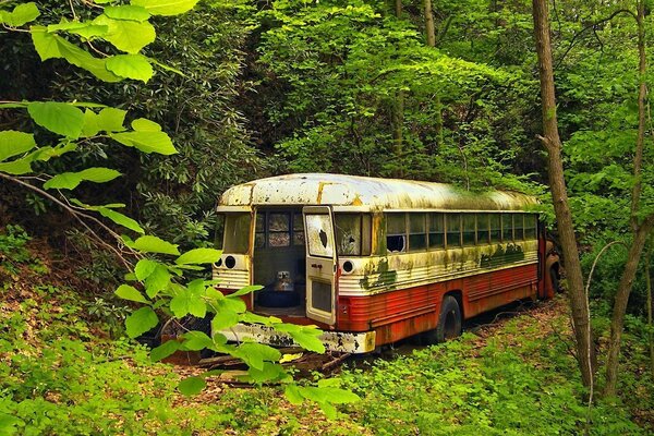 An old bus in the woods