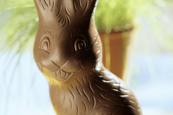 Schokolade Ostern lächelnder Hase