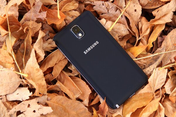 Samsung. Gelbe Herbstblätter