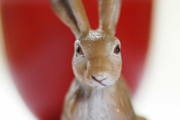 Photo de lapin en porcelaine souvenir