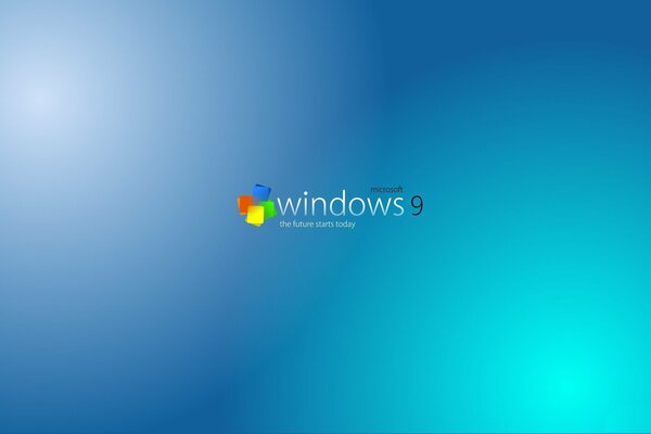 Microsoft Operating System Window