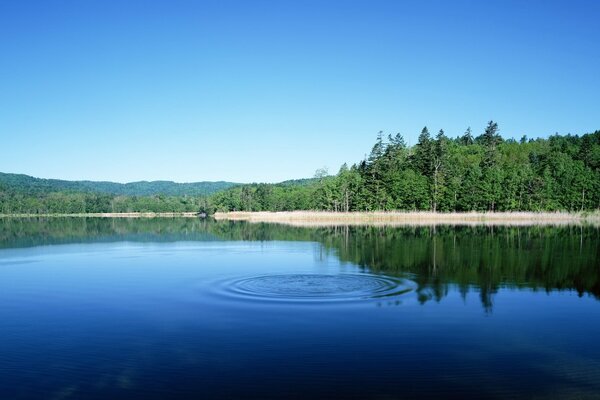 La surface miroir du lac perturbée par de grands cercles sur elle