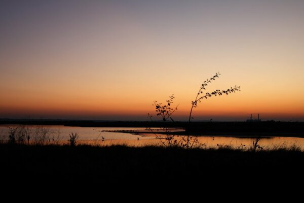 Abend Sonnenuntergang im Sumpf