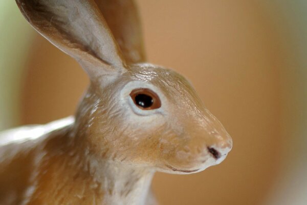 Photo of a souvenir porcelain hare