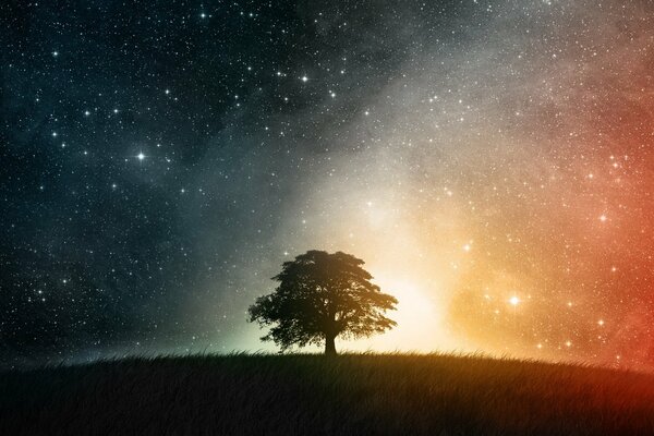 Árbol solitario por la noche bajo el cielo nocturno