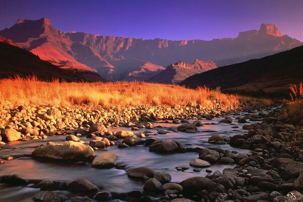 Arroyo de montaña, piedras y hierba a la luz dorada del atardecer