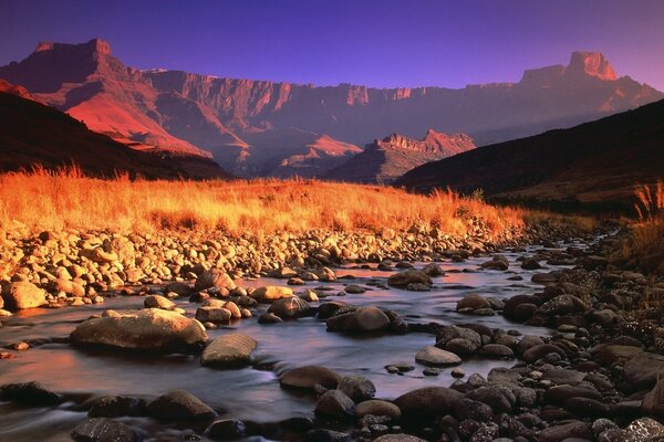 Ruisseau de montagne, pierres et herbe dans la lumière dorée du coucher du soleil