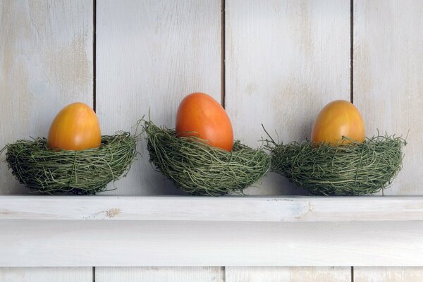 Three eggs are on duty in a nest on the shelf