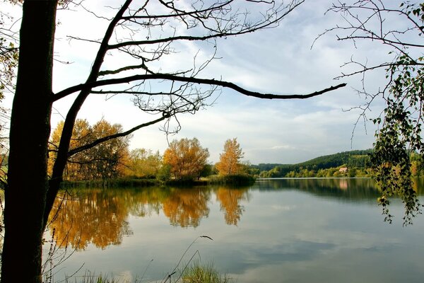 Autumn lake with trees in yellow leaves