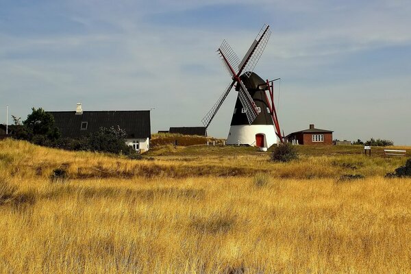 Mühlen im goldenen Feld unter freiem Himmel