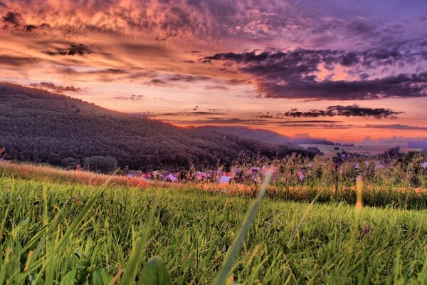 Beau ciel sur fond d herbe verte