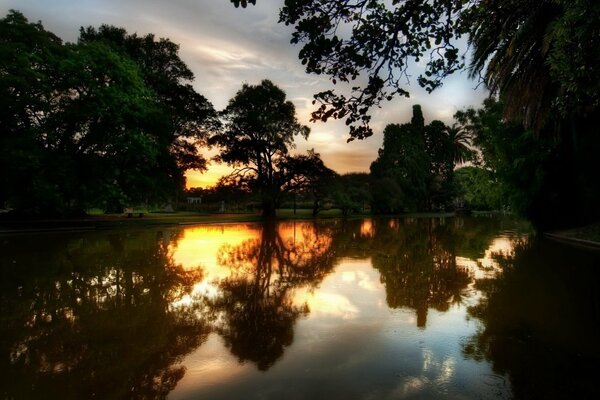 Lago en un bosque oscuro en el fondo de una hermosa puesta de sol