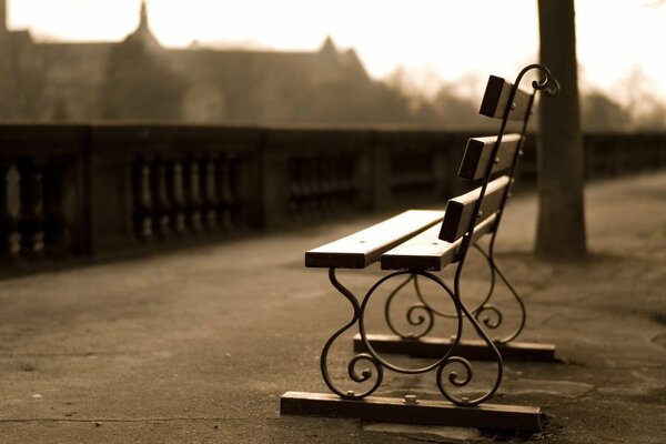 A romantic place for lovers on the city embankment