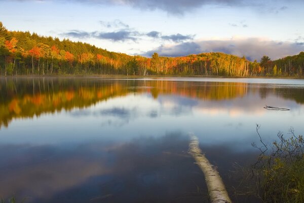 Spokojne jezioro jesienią krajobraz