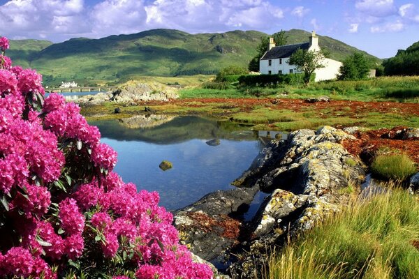 Maison au bord du lac avec des fleurs