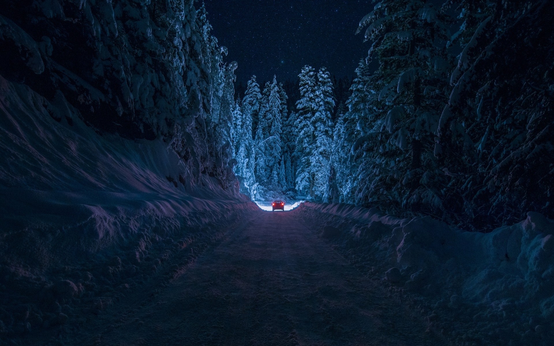 now road vehicles night tree blue winter