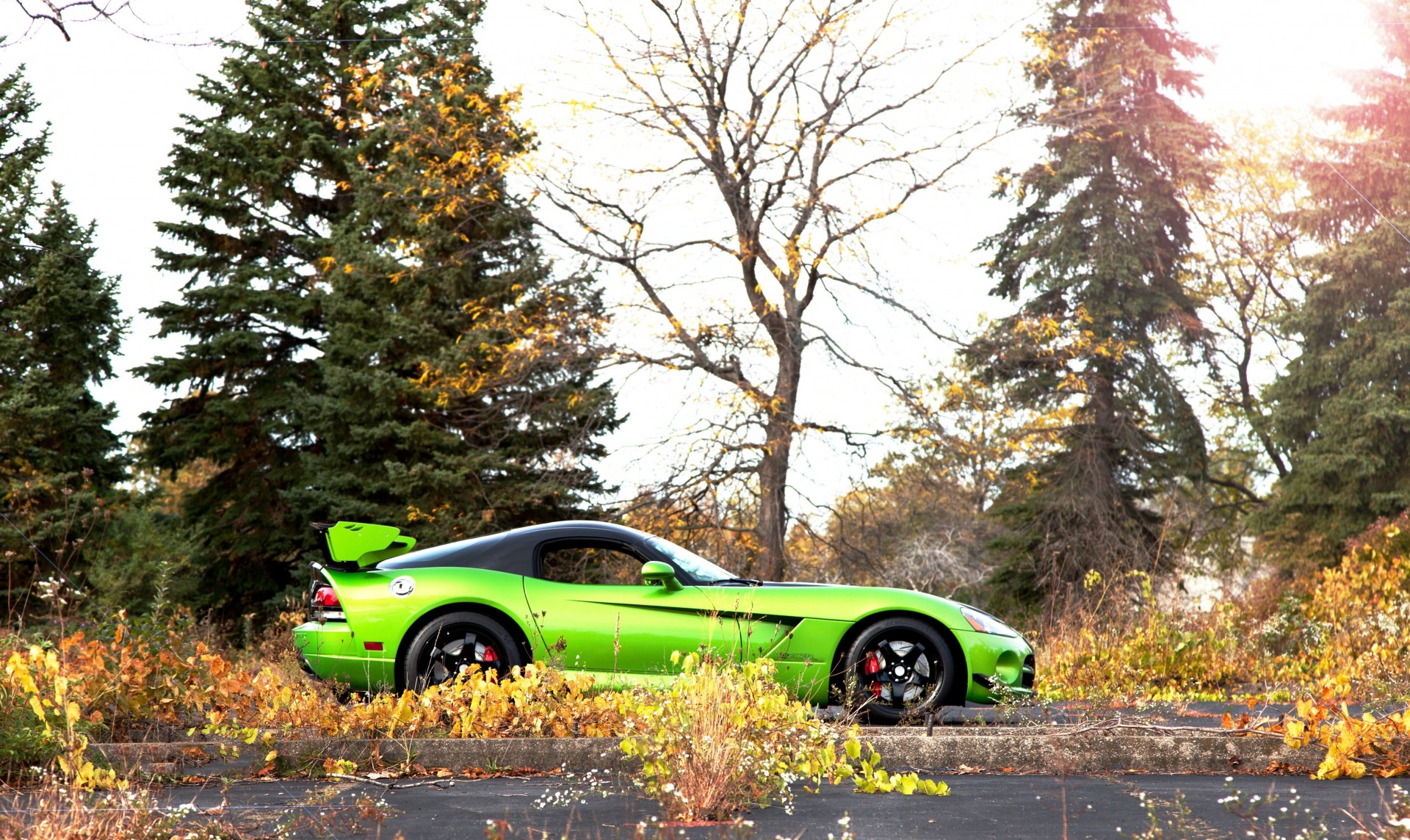 2014 mopar wing