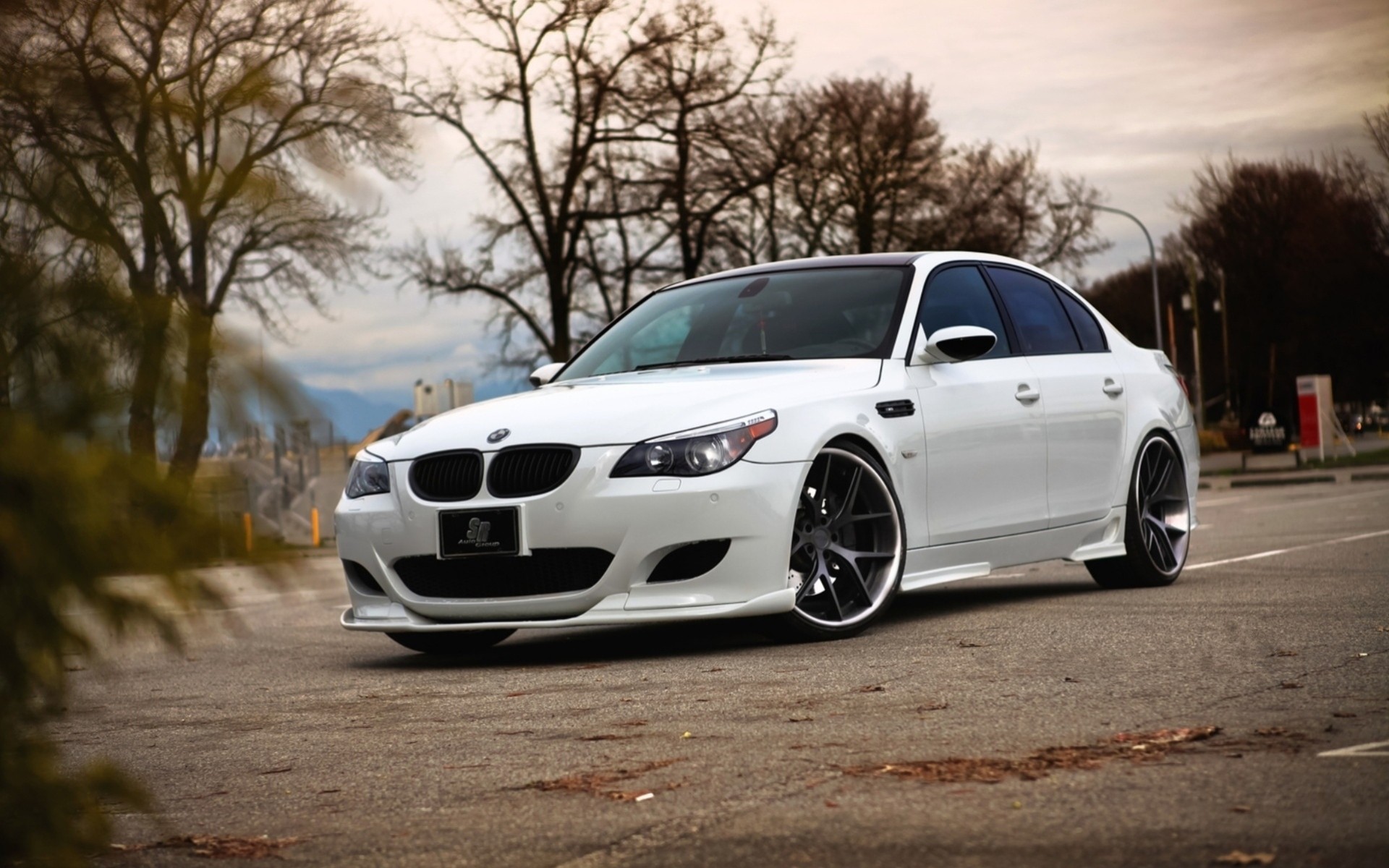 m5 bmw parking white autumn sedan coloured e60